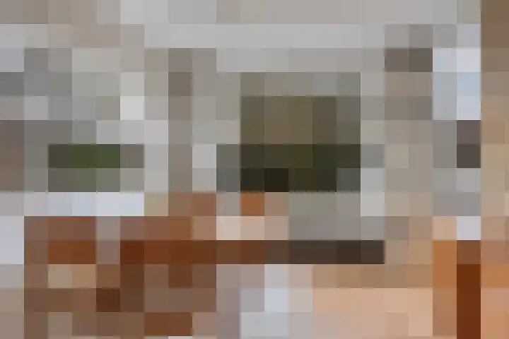 Reviusstraat 1 Goor thumbnail 16