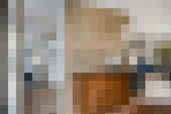 Reviusstraat 1 Goor thumbnail 18
