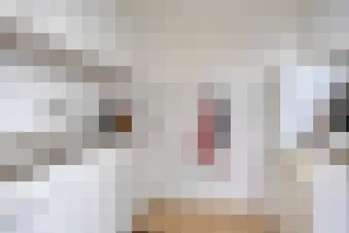 Reviusstraat 1 Goor thumbnail 20