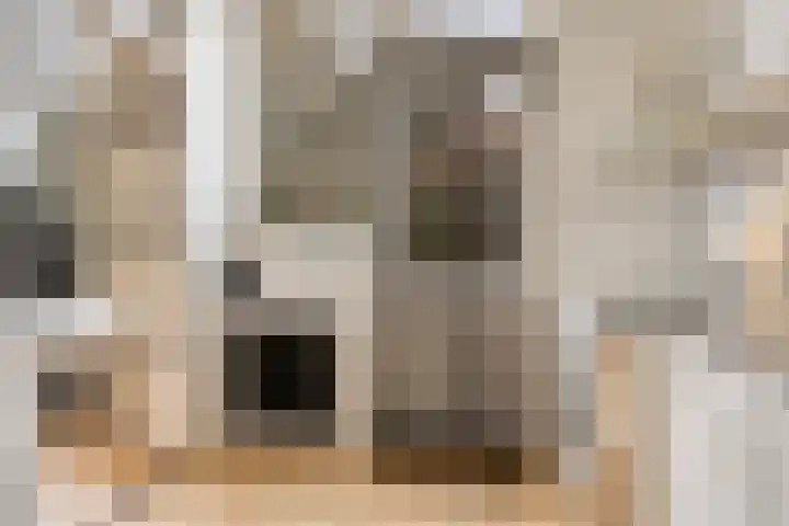 Reviusstraat 1 Goor thumbnail 21