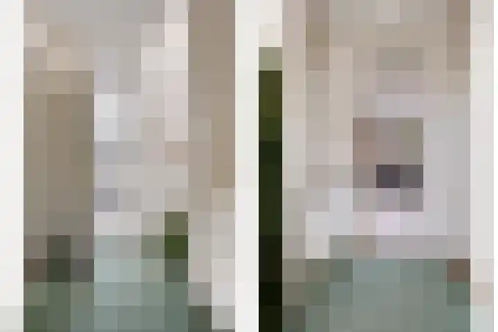 Reviusstraat 1 Goor thumbnail 23