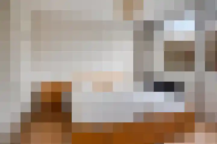 Reviusstraat 1 Goor thumbnail 24