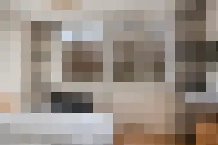 Reviusstraat 1 Goor thumbnail 25