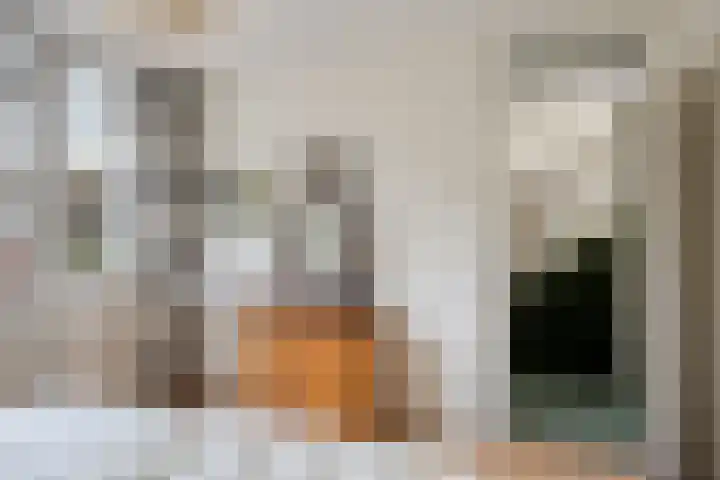 Reviusstraat 1 Goor thumbnail 26