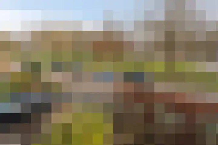 Reviusstraat 1 Goor thumbnail 27