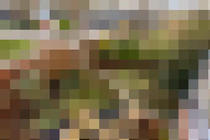 Reviusstraat 1 Goor thumbnail 28