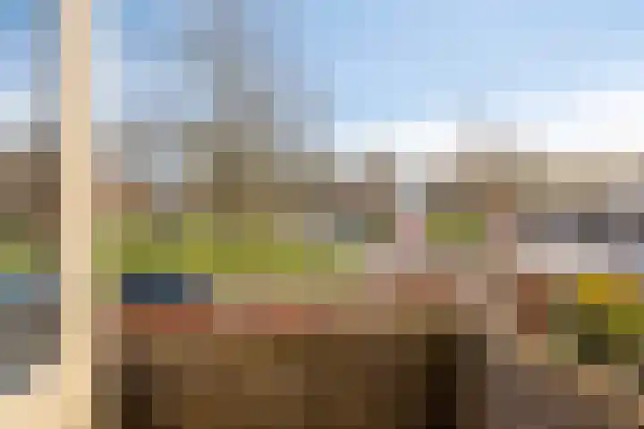 Reviusstraat 1 Goor thumbnail 29