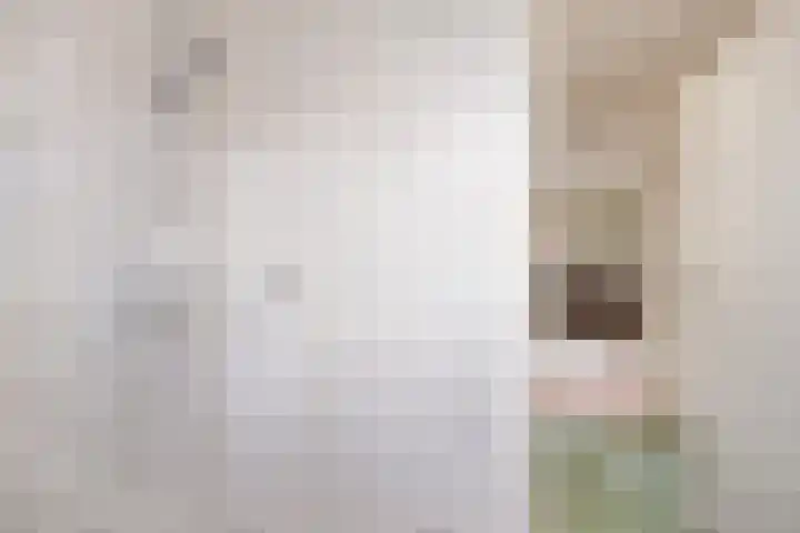 Reviusstraat 1 Goor thumbnail 31