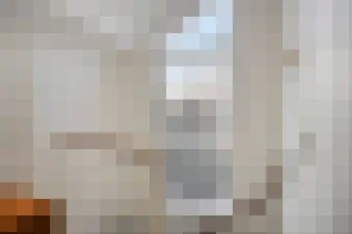 Reviusstraat 1 Goor thumbnail 36