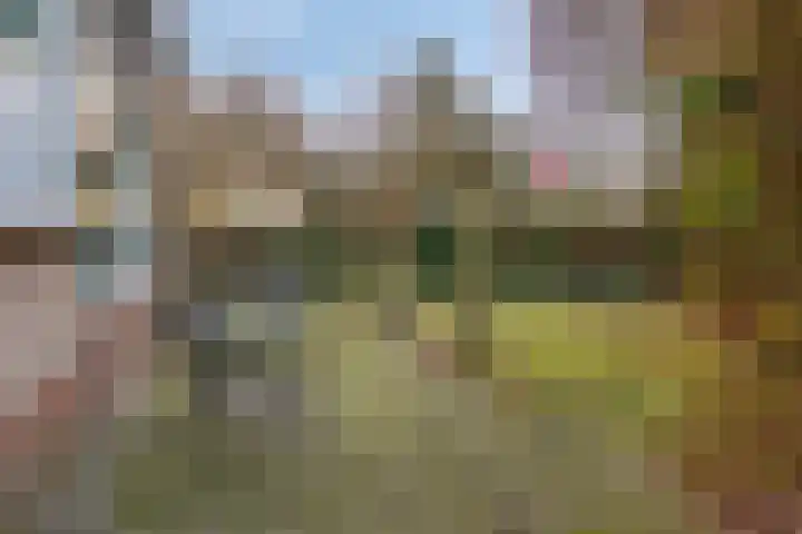 Reviusstraat 1 Goor thumbnail 39