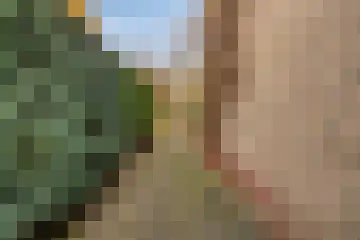 Reviusstraat 1 Goor thumbnail 4