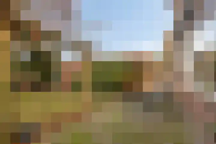 Reviusstraat 1 Goor thumbnail 40