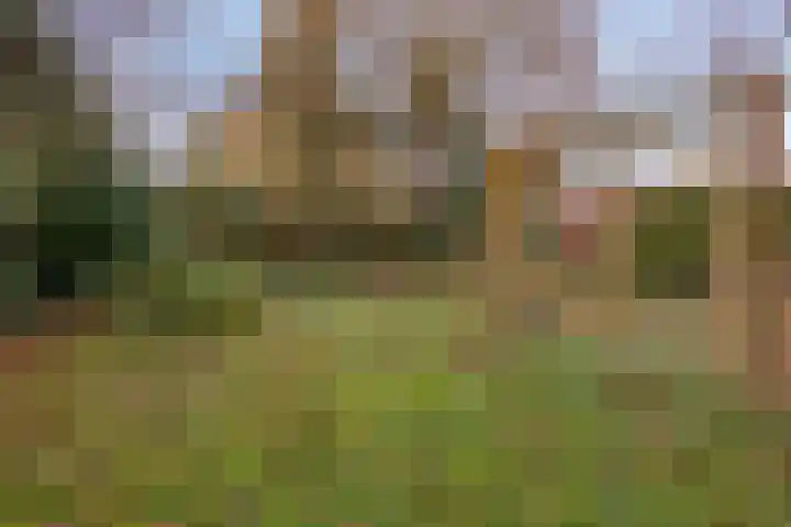 Reviusstraat 1 Goor thumbnail 41