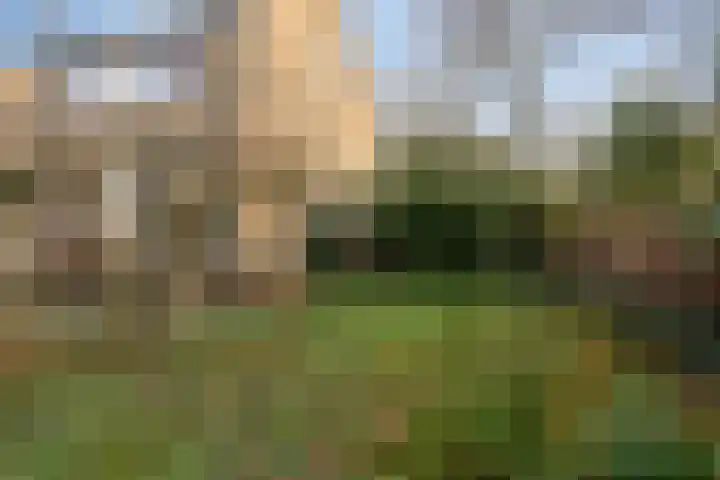 Reviusstraat 1 Goor thumbnail 43