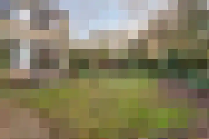 Reviusstraat 1 Goor thumbnail 44