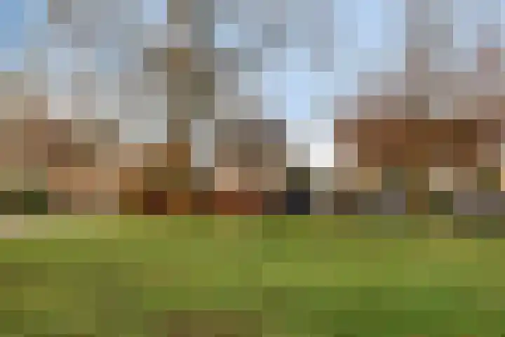 Reviusstraat 1 Goor thumbnail 46