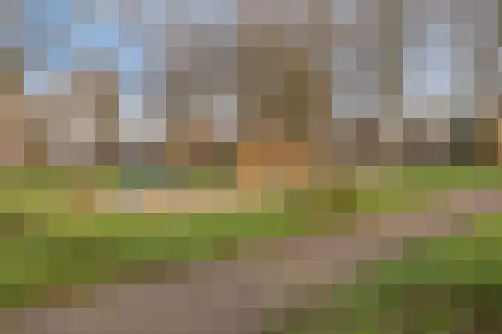 Reviusstraat 1 Goor thumbnail 48