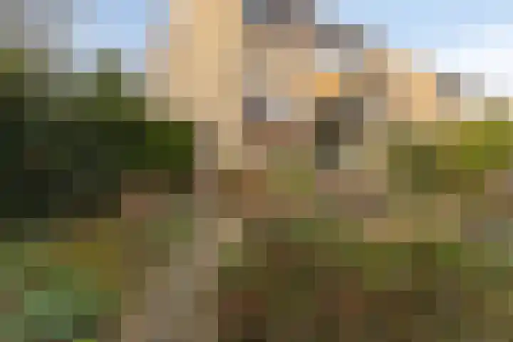 Reviusstraat 1 Goor thumbnail 6