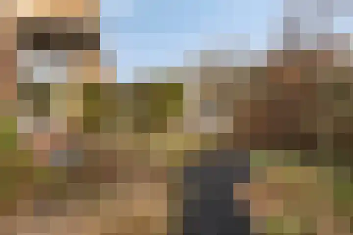 Reviusstraat 1 Goor thumbnail 7