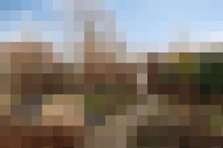 Reviusstraat 1 Goor thumbnail 8