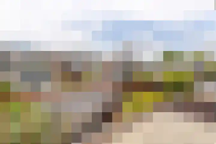 Reviusstraat 10 Papendrecht thumbnail 13