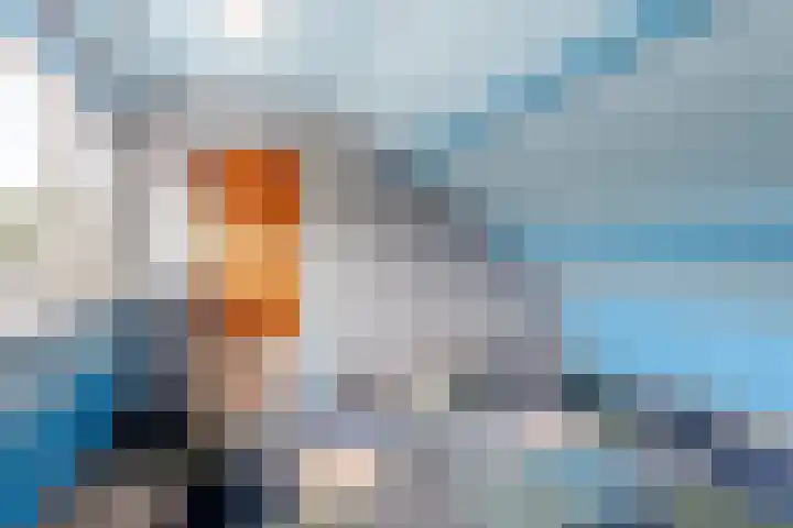 Reviusstraat 10 Papendrecht thumbnail 17