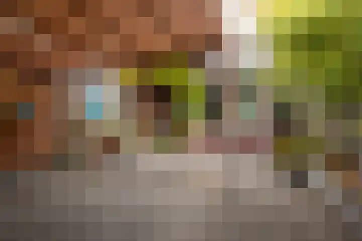 Reviusstraat 10 Papendrecht thumbnail 19