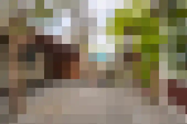 Reviusstraat 10 Papendrecht thumbnail 20