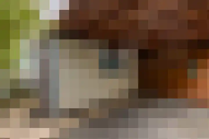 Reviusstraat 10 Papendrecht thumbnail 21