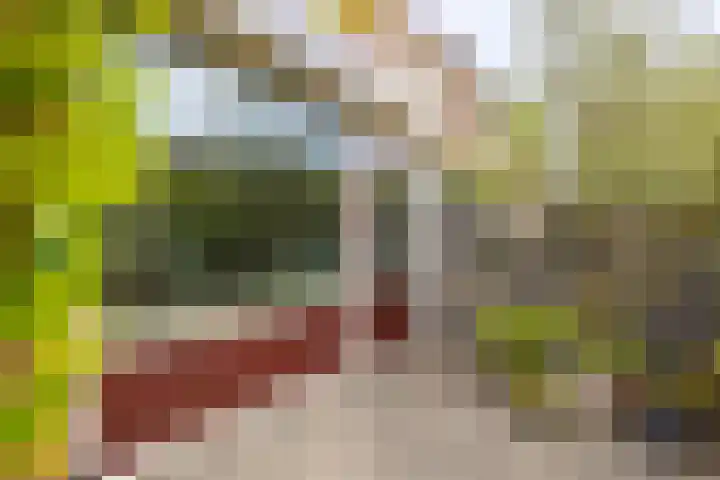 Reviusstraat 10 Papendrecht thumbnail 22