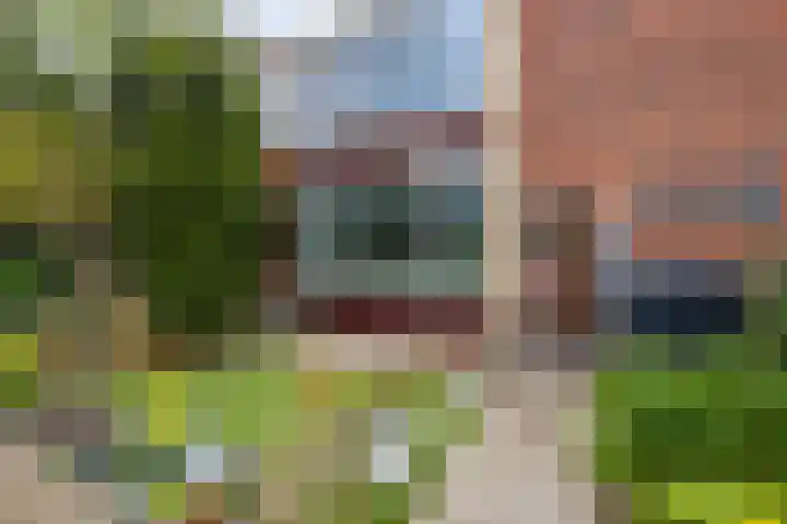 Reviusstraat 10 Papendrecht thumbnail 23