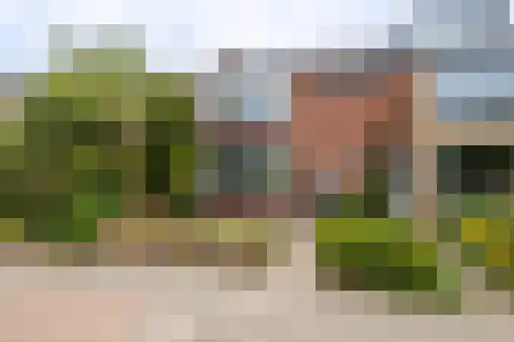 Reviusstraat 10 Papendrecht thumbnail 24