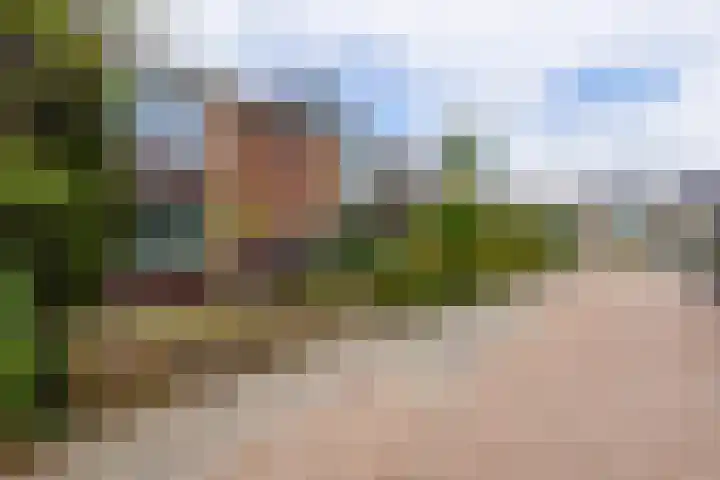 Reviusstraat 10 Papendrecht thumbnail 25
