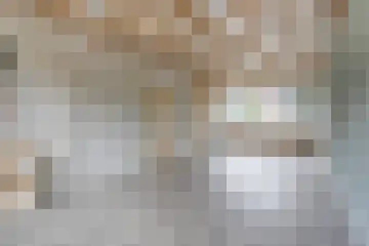 Reviusstraat 10 Papendrecht thumbnail 5