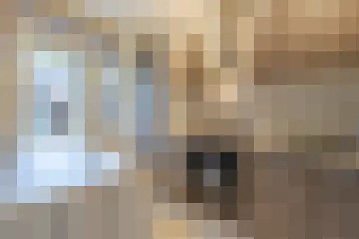Reviusstraat 10 Papendrecht thumbnail 6