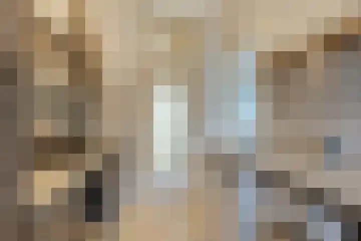Reviusstraat 10 Papendrecht thumbnail 7