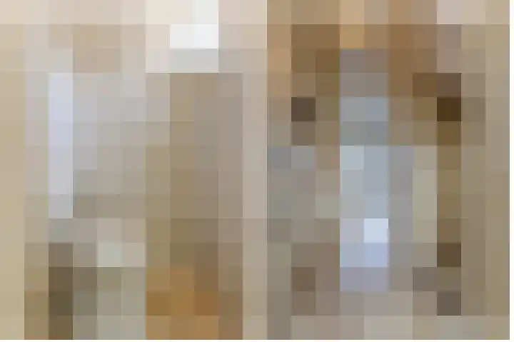 Reviusstraat 10 Papendrecht thumbnail 8