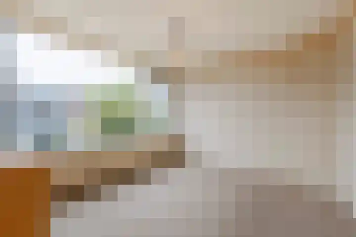 Reviusstraat 10 Papendrecht thumbnail 9