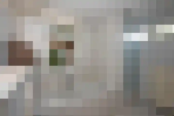 Reviusstraat 101 Hengelo thumbnail 14