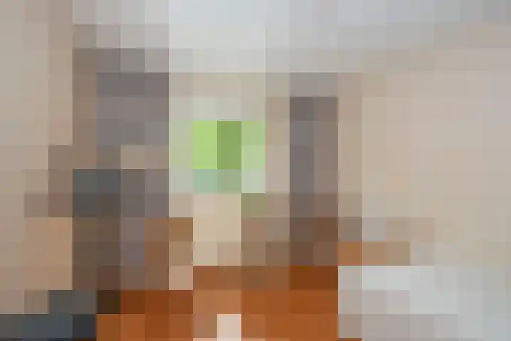 Reviusstraat 101 Hengelo thumbnail 20