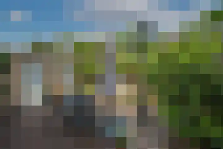 Reviusstraat 101 Hengelo thumbnail 25