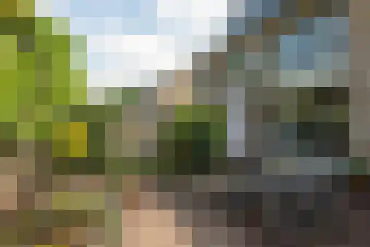 Reviusstraat 101 Hengelo thumbnail 28
