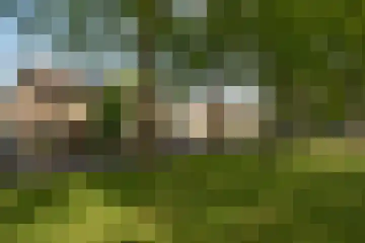 Reviusstraat 101 Hengelo thumbnail 29