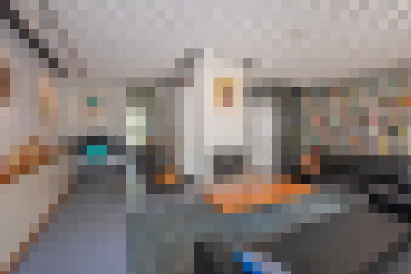 Reviusstraat 12 Hengelo thumbnail 15