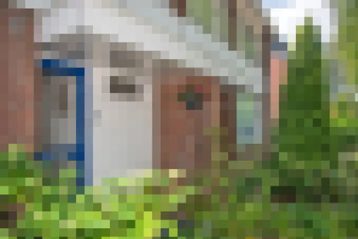 Reviusstraat 12 Hengelo thumbnail 38