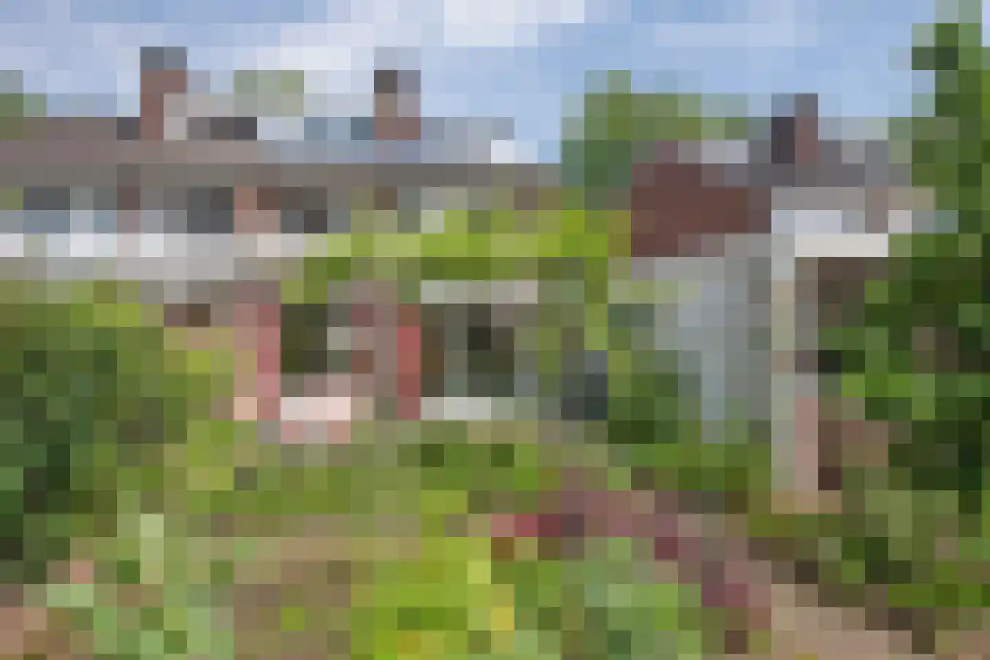 Reviusstraat 12 Hengelo thumbnail 42