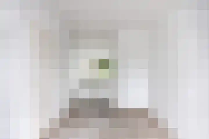 Reviusstraat 18 Hoogezand thumbnail 9