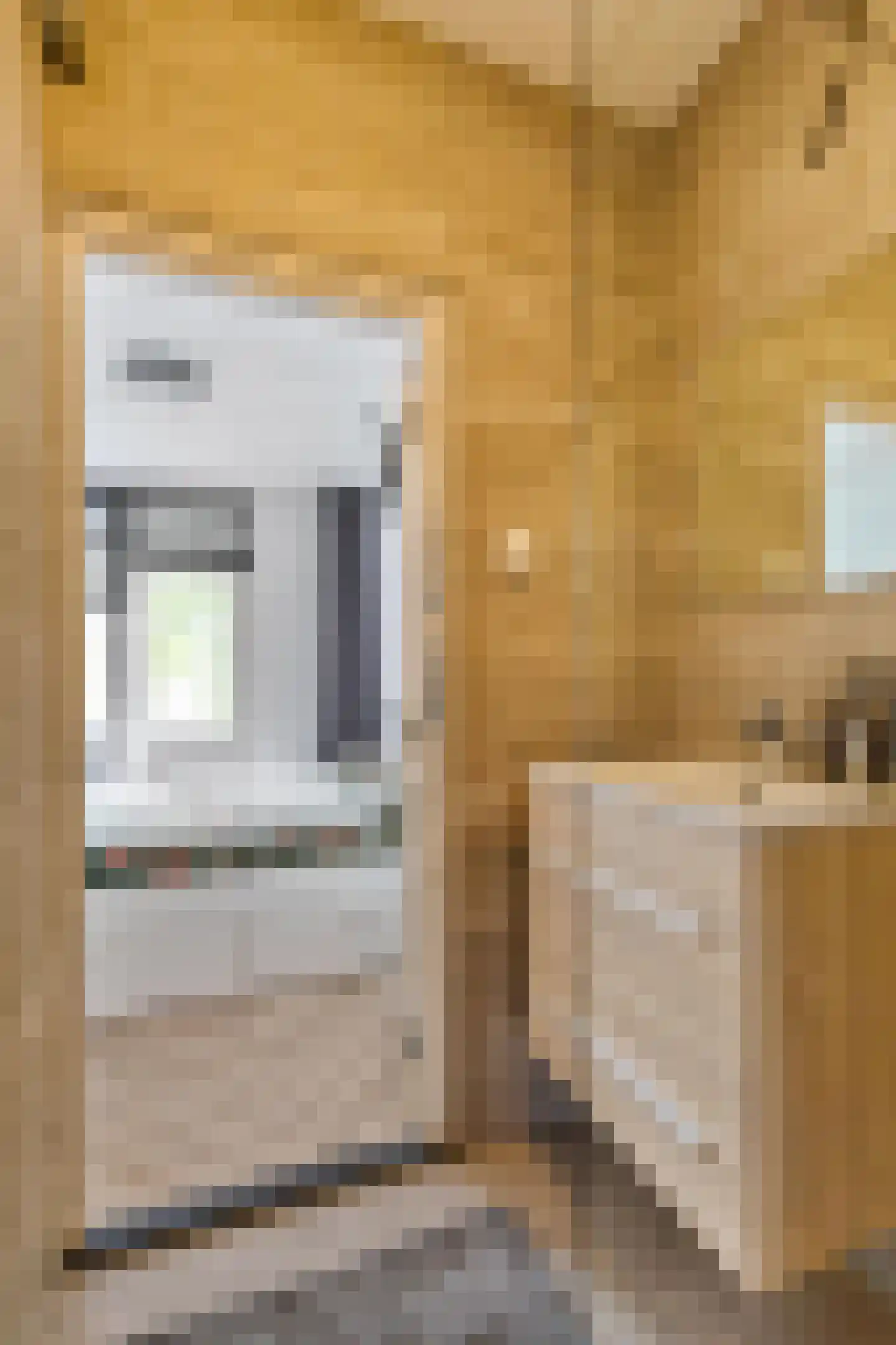 Reviusstraat 181 Groningen thumbnail 27