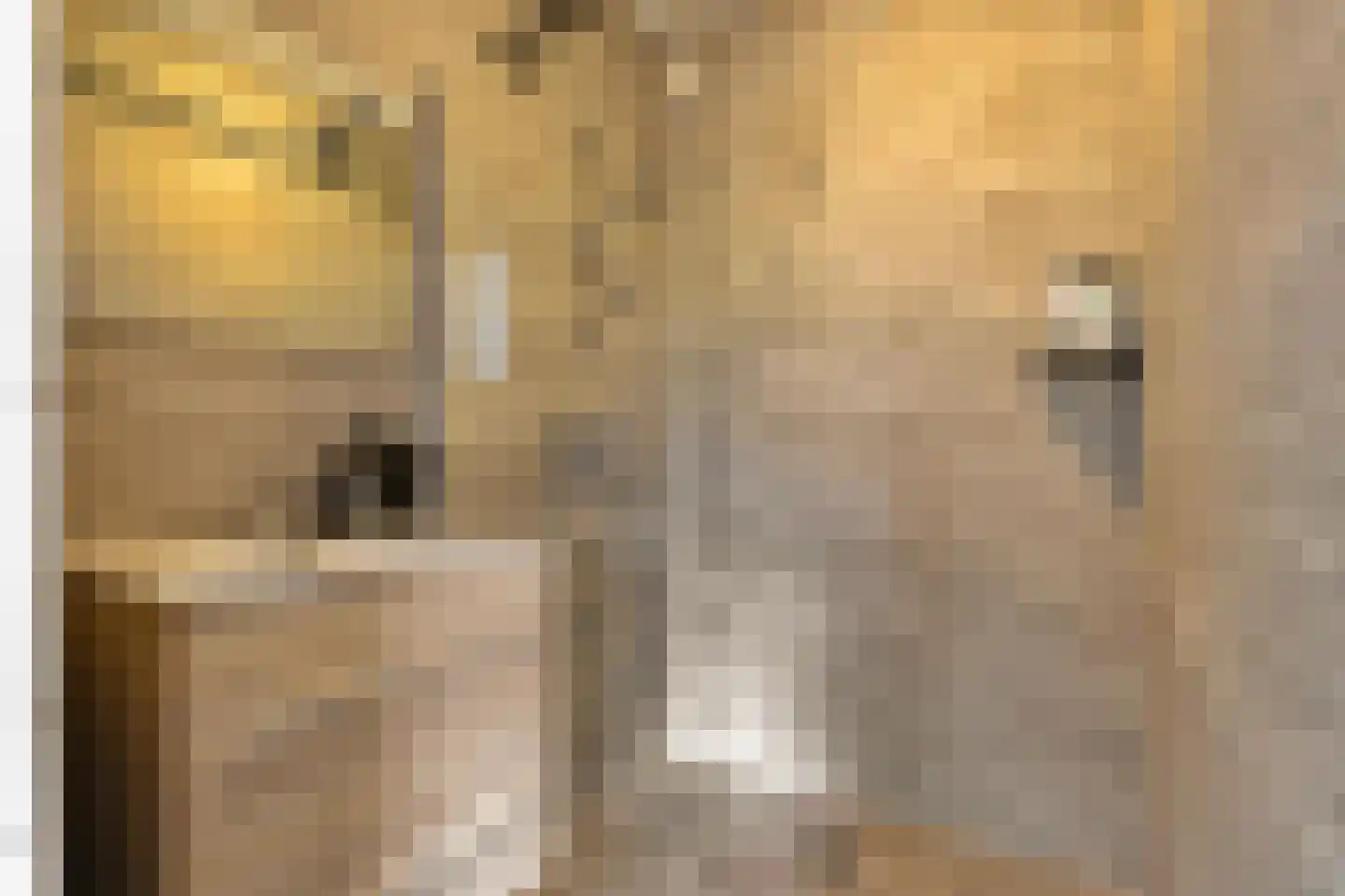 Reviusstraat 181 Groningen thumbnail 4