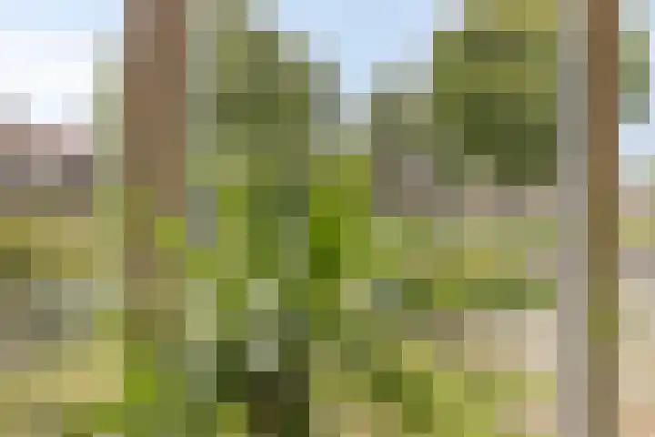 Reviusstraat 2 Aalten thumbnail 10